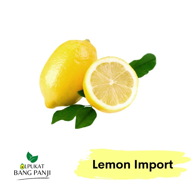 Jual ALPUKAT BANG PANJI - Lemon Import RRC 1KG | Shopee Indonesia