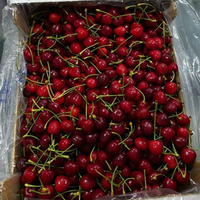 Jual Buah Cherry Fresh | Shopee Indonesia