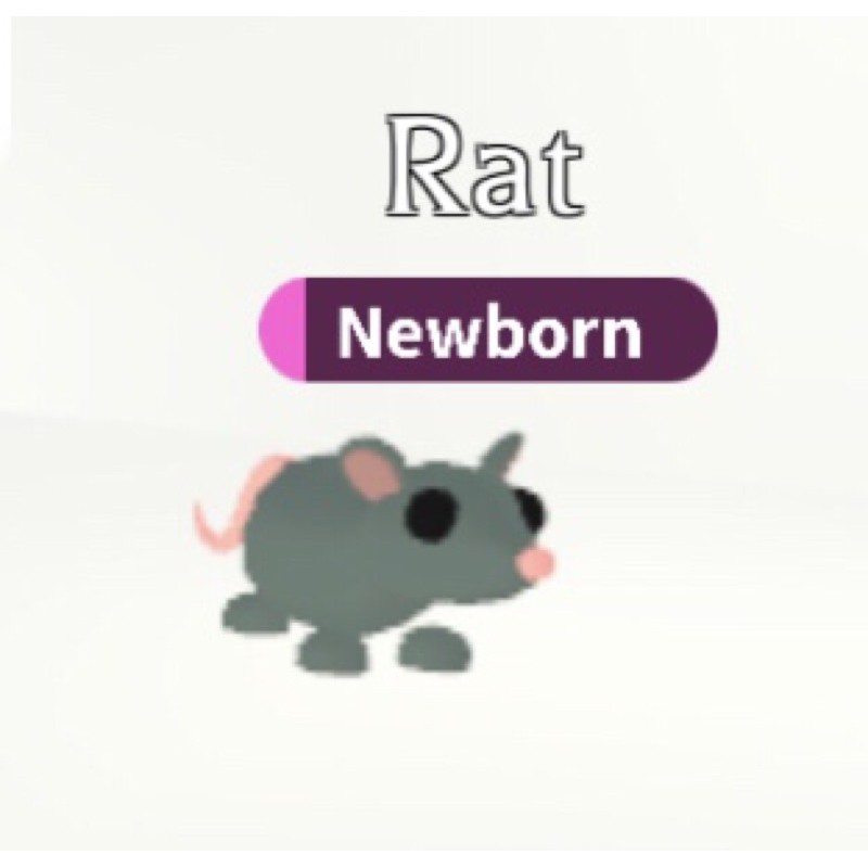 Jual Roblox Adopt Me RAT (rare) | Shopee Indonesia