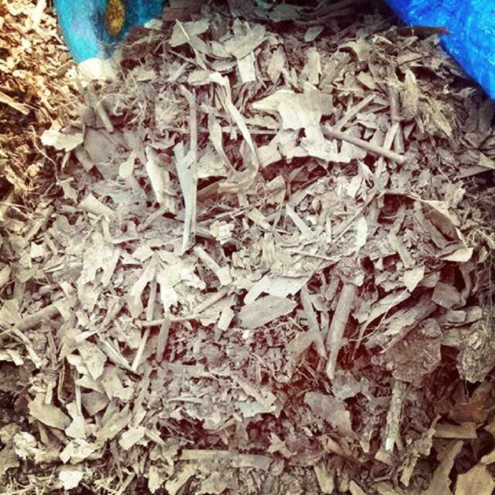 Jual Media Tanam Daun Bambu Kering Cacah / Pupuk Tanaman Daun Bambu ...
