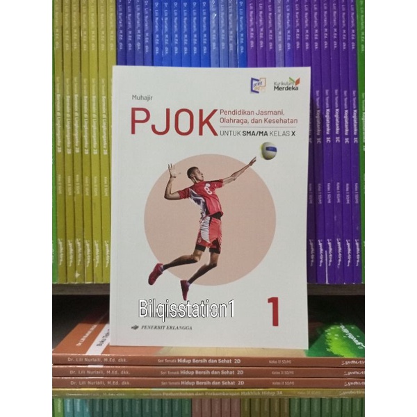 Jual Paket PJOK Kelas 10/X SMA Erlangga Kurikulum Merdeka | Shopee ...