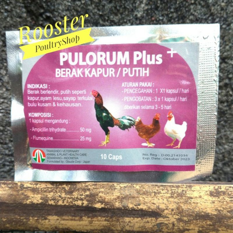 Jual Pullorum Pulorum Obat Ayam Berak Putih isi 10 Kapsul | Shopee ...