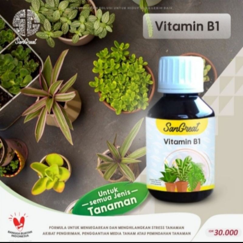 Jual Vitamin B1 Tanaman Agar Tanaman Tidak Stress Dan Tahan Penyakit ...