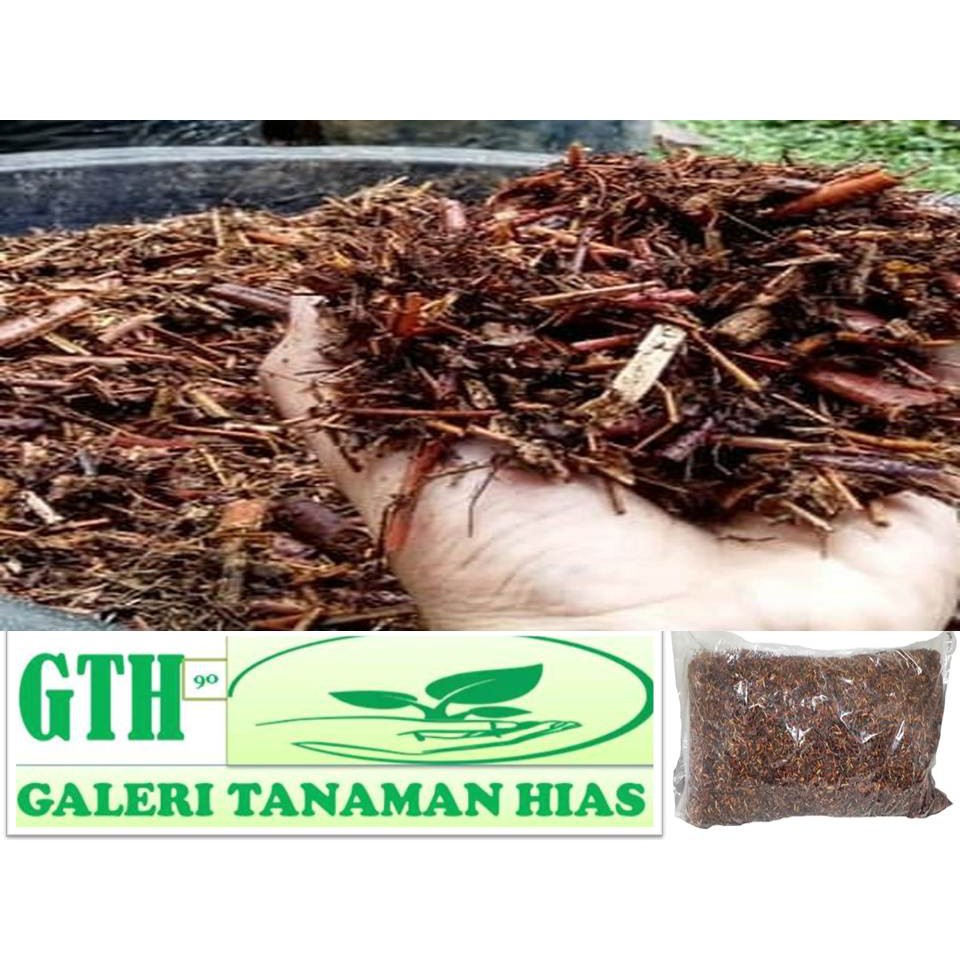 Jual PUPUK ALAMI ANDAM HUMUS NUTRISI TANAMAN ALAMI | Shopee Indonesia