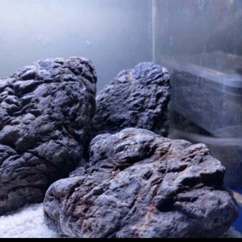 Jual TURLY STONE BATU LOKAL AQUASCAPE GRADE AAA | Shopee Indonesia