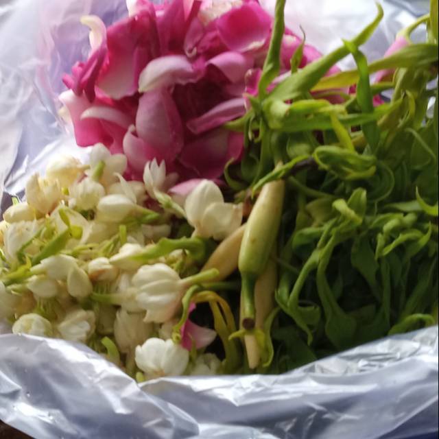 Jual bunga 7 rupa | Shopee Indonesia