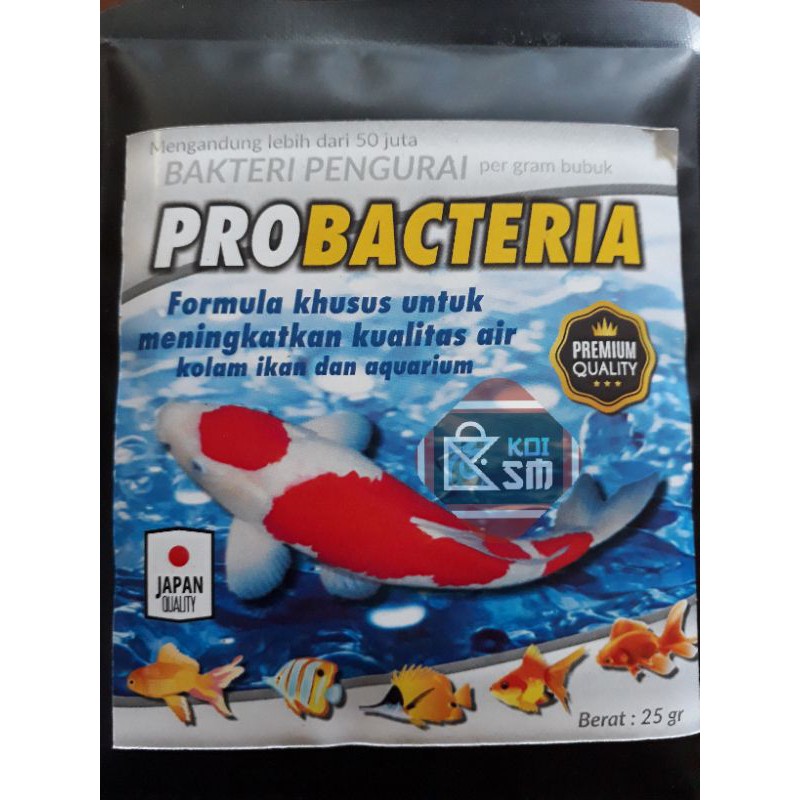 Jual Bakteri Starter Probacteria Bakteri Pengurai Kolam Ikan Dan