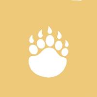 click here to visit shop