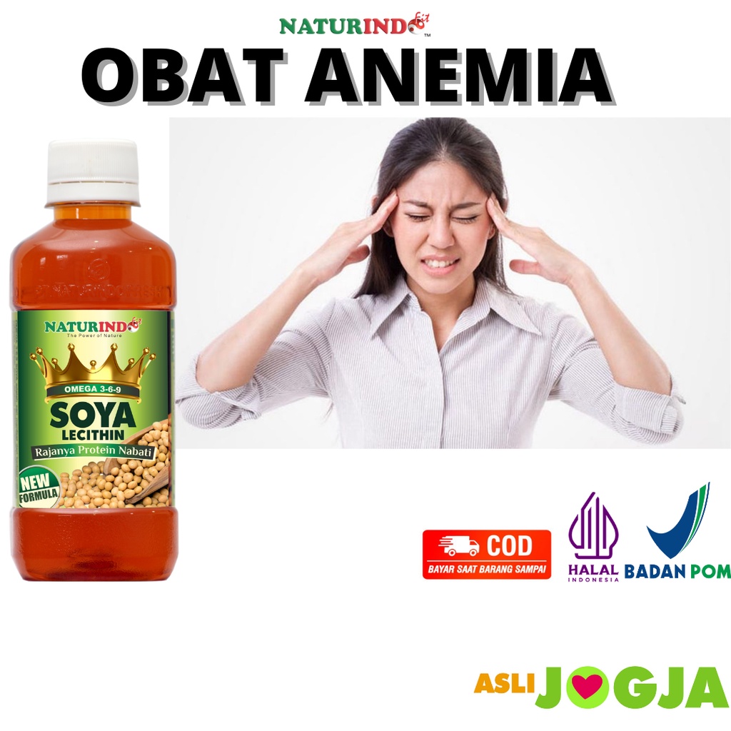 Jual Obat Anemia Tambah Darah Kurang Darah Paling Ampuh Hb Darah Rendah ...