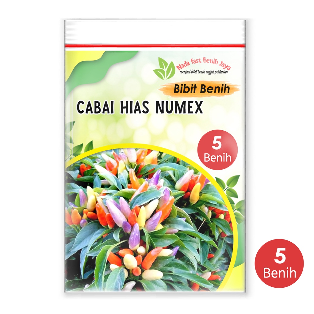 Nada fast benih jaya - Nada fast benih jaya - 5  biji Benih sayur - bibit sayuran Cabe hias NUMEX EASTER