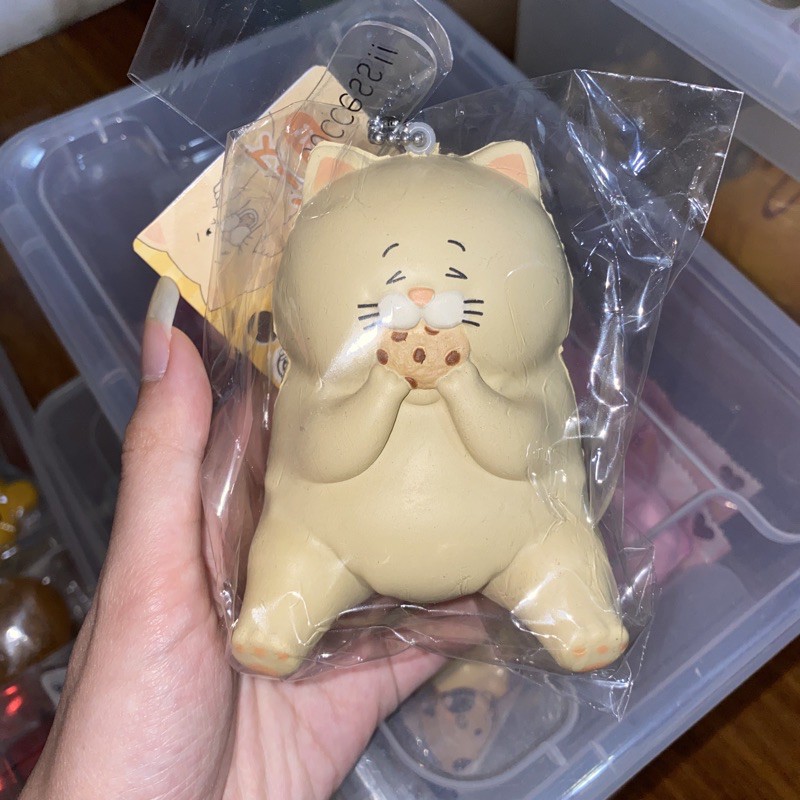 Fat store cat squishy