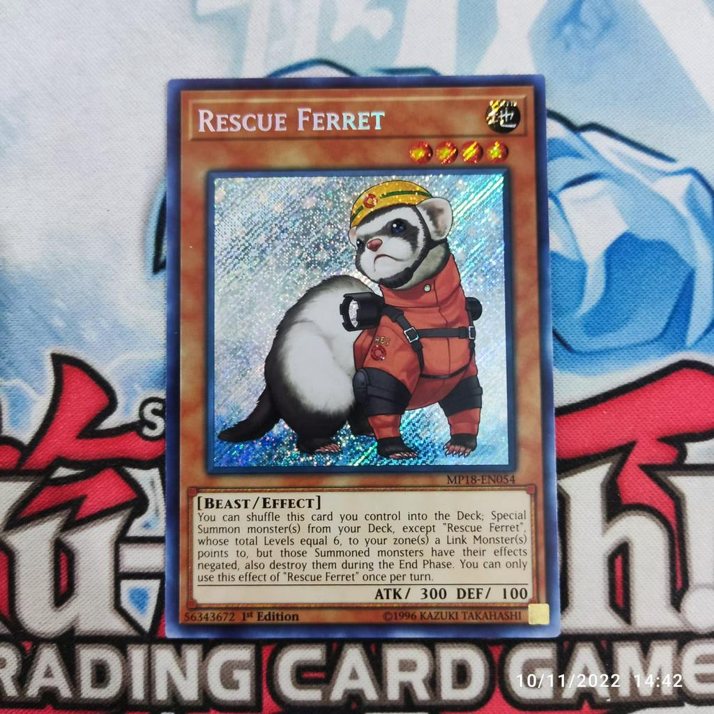 Yu-Gi-Oh! Rescue Ferret – COTD-EN029 Secret Rare, Unlimited Edition, Erde/Ungeheuer-Effektkarte