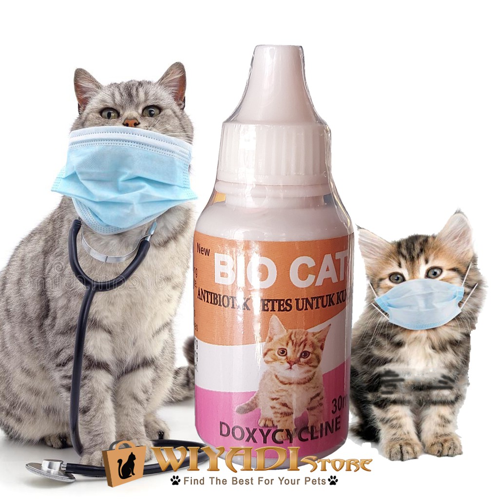 Jual Bio Cat Obat Antibiotik Antibiotic Antibody Imun Kucing Dan