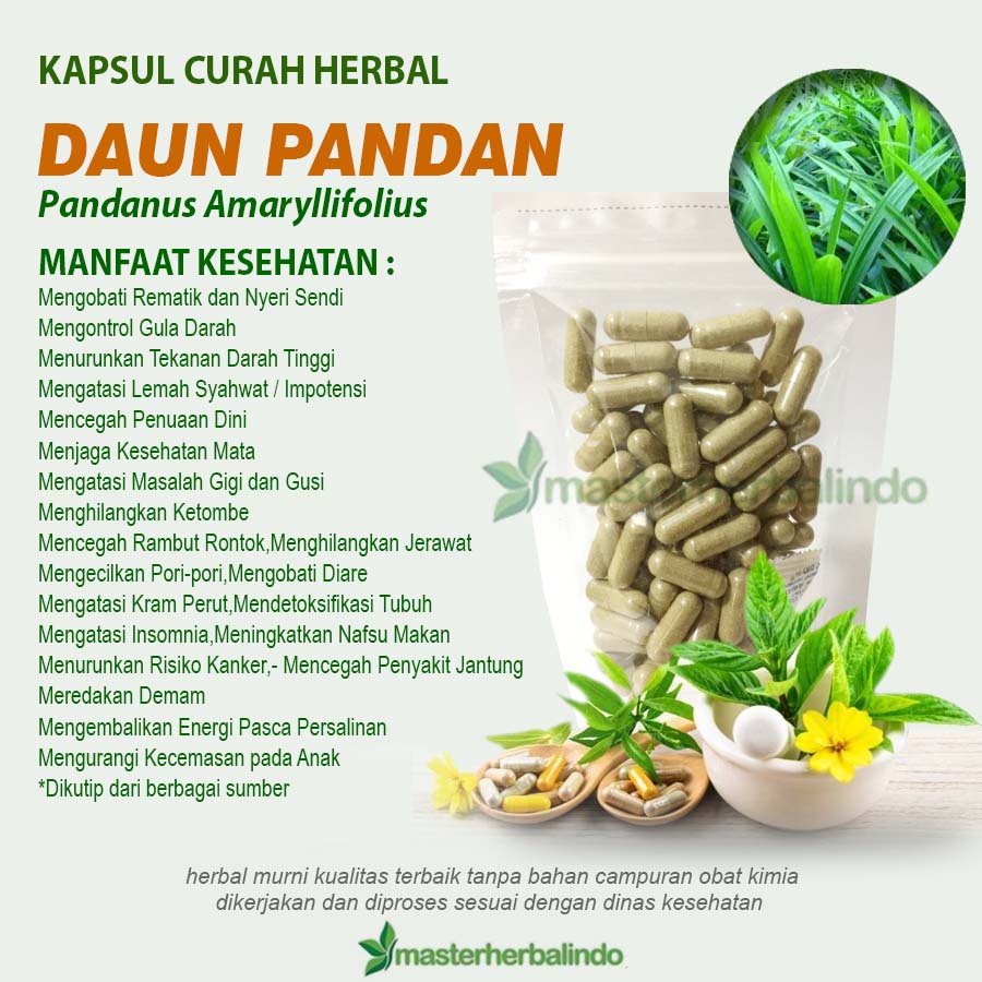 Jual 100 Kapsul DAUN PANDAN Herbal Susah Tidur Insomnia Impotensi ...