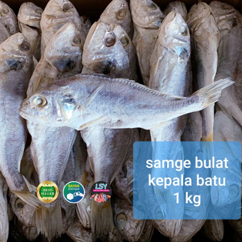Jual ikan asin samge / kepala batu 1 kg | Shopee Indonesia