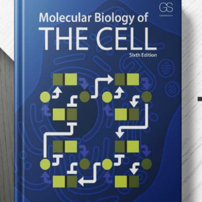 Jual Buku Molecular Biology Of The Cell | Shopee Indonesia