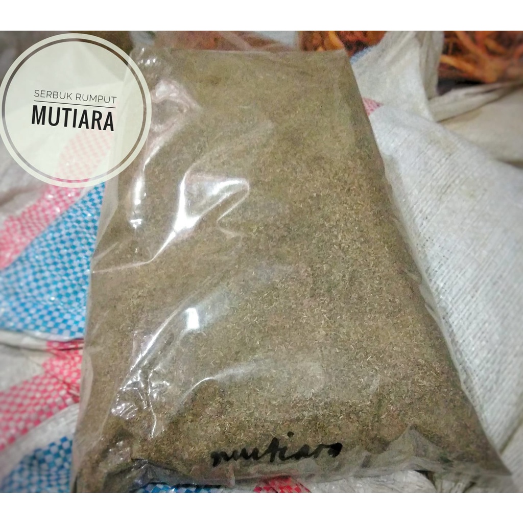 Jual Serbuk rumput mutiara 1kg | Shopee Indonesia