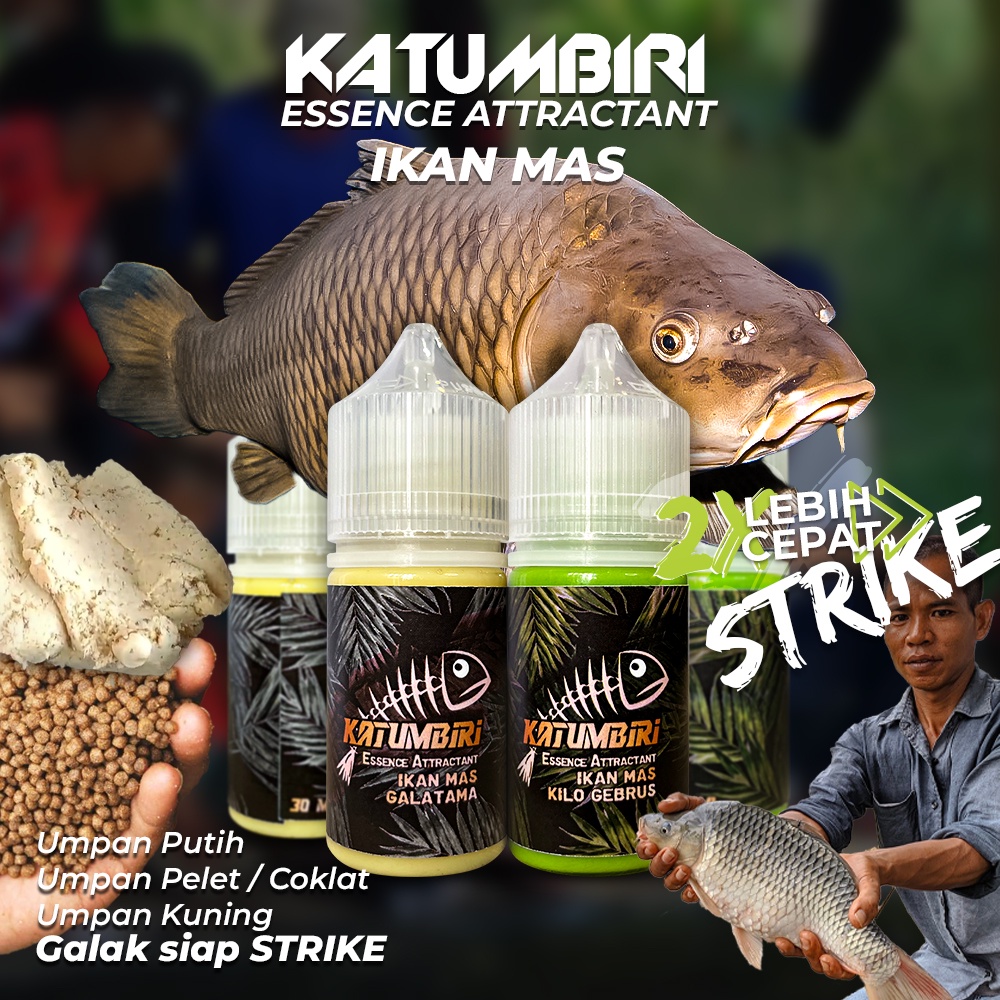 Jual Essen Ikan Mas Si Ijo Hulk Kilo Gebrus Galatama Katumbiri Essence