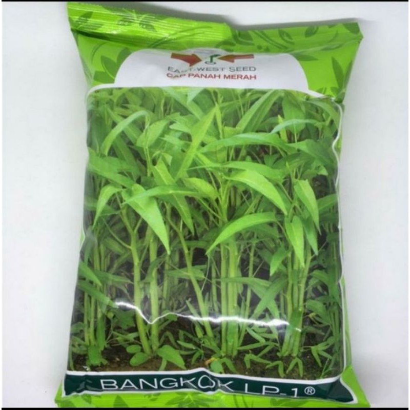 Jual Benih Kangkung Bangkok LP1 (Cap Panah Merah) | Shopee Indonesia