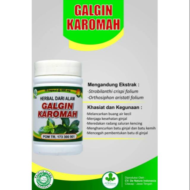 Jual Obat galgin Karomah de nature mengobati batu ginjal kencing batu ...