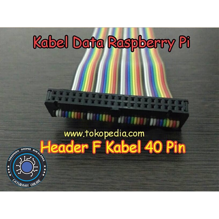 Jual Kabel Data Raspberry pi header Female 40 pin Amphenol IDC 40pin ...