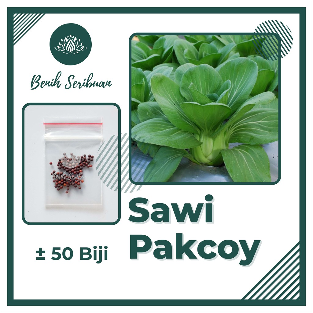 Jual 50 Biji Benih Sawi Pakcoy Nauli F1 Cap Panah Merah Sayuran Pakchoy