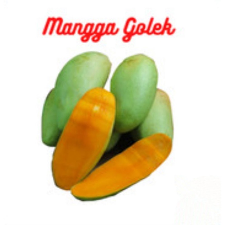 jual-buah-mangga-golek-berat-1-kg-shopee-indonesia