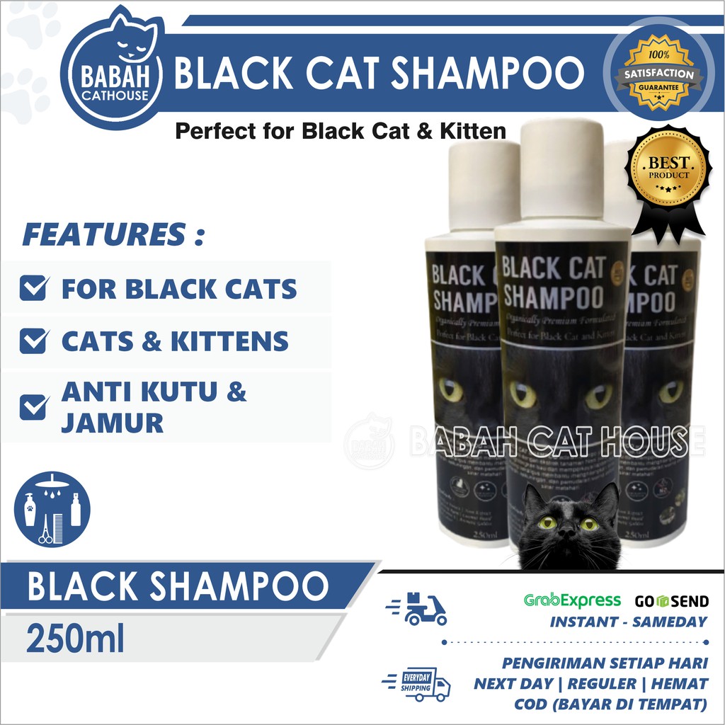 Black cat outlet shampoo