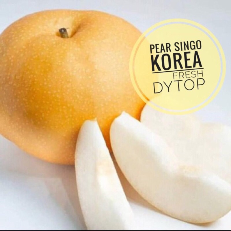 Jual Buah Pir Pear Singo Korea Manis Banyak Air Jumbo Fresh - Per Pcs ...