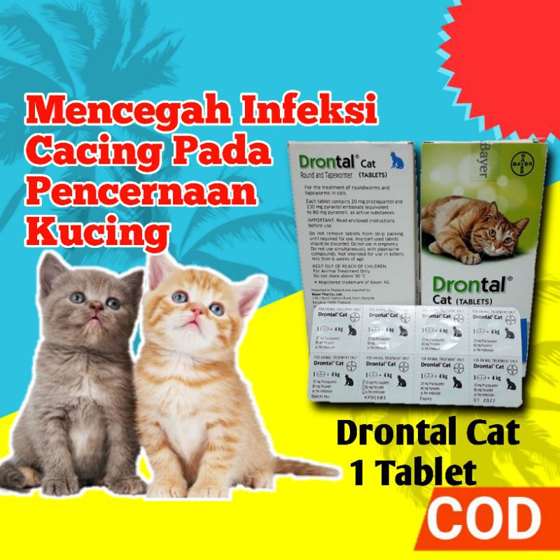 Jual Drontal Cat Obat Infeksi Cacing Kucing Makanan Vitamin Hewan ...