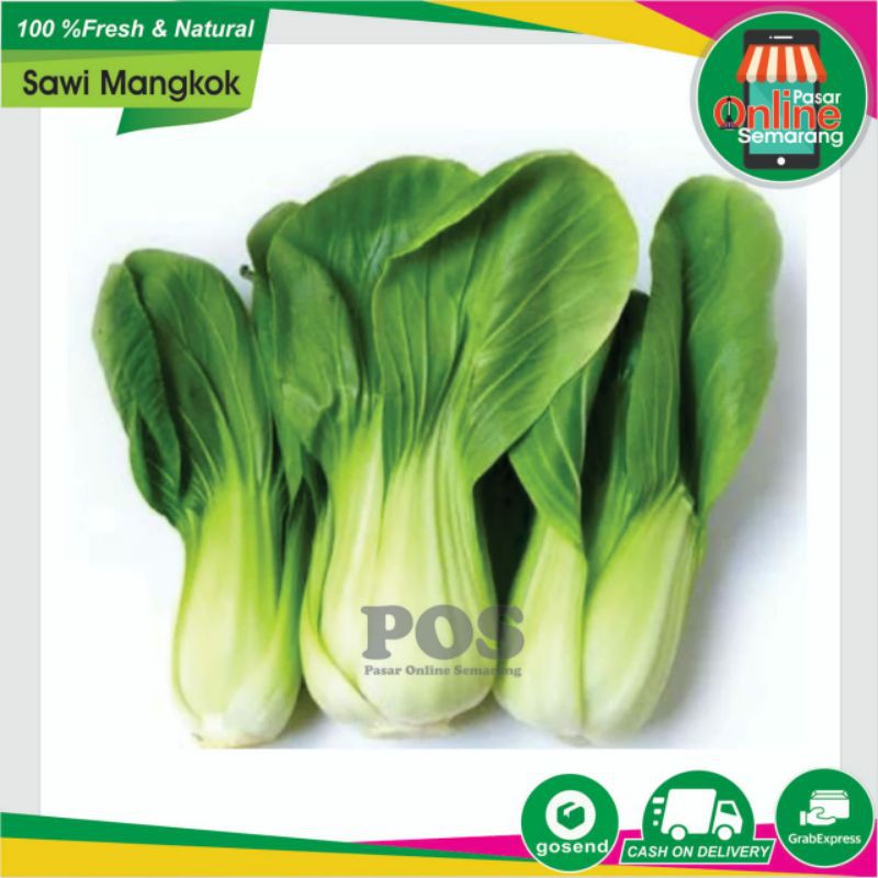 Jual Sayur Sayuran Pakcoy Sawi Daging Sawi Sendok Sayuran