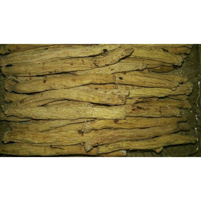 Jual SGS GRADE A DANG SHEN TONGSHEM TONGSIM TONG SEM SIM CODONOPSIS ...