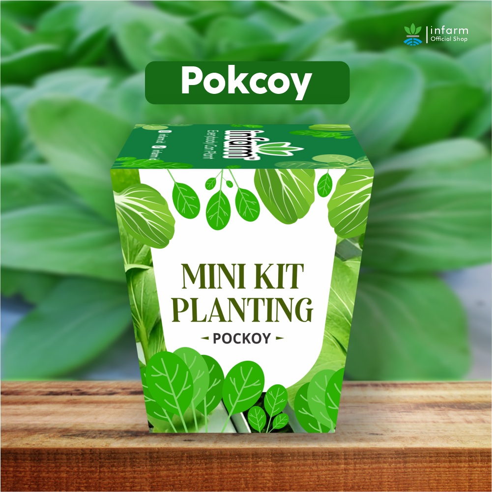 Jual INFARM - Paket Kebun Anak Mini Kit Planting Berkebun Kangkung ...