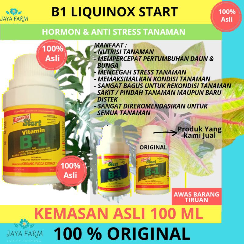 Jual ZPT VITAMIN B1 LIQUINOX START ISI 100 ML (ANTI STRESS TANAMAN ...