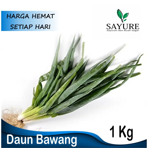 Jual DAUN BAWANG SEGAR SPRING ONION 1 KG | Shopee Indonesia