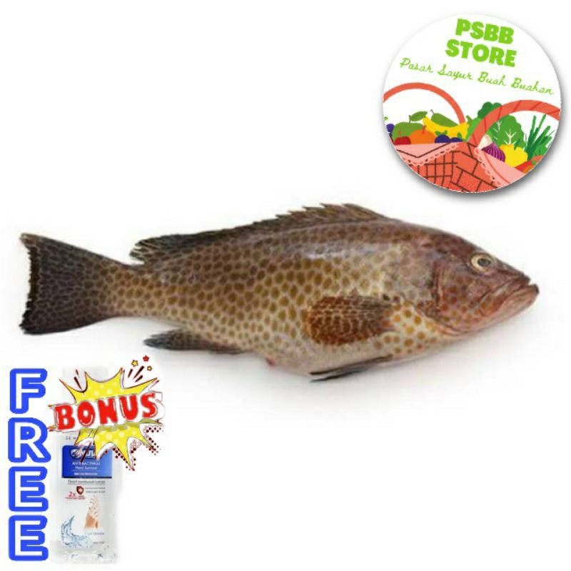 Jual Pasar Gubeng Ikan Segar Fresh Pasar Online Sby Shopee Indonesia