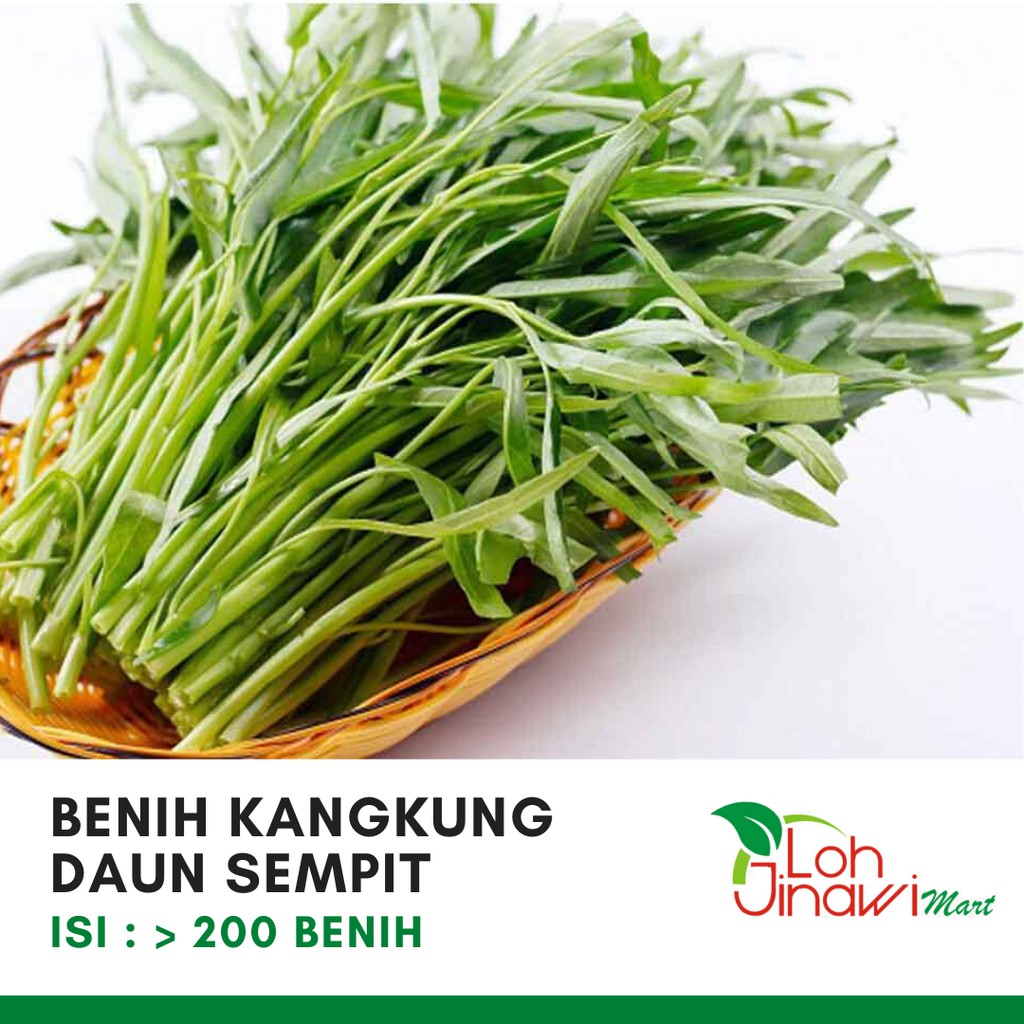 Jual Benih Biji Seed Bibit Kangkung Daun Sempit Kecil Kemasan Kecil