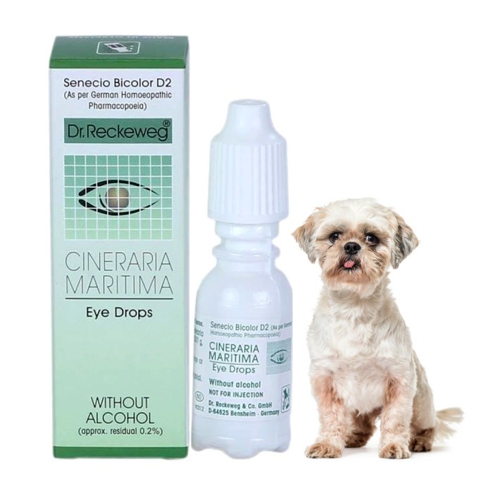 Jual DR. RECKEWEG CINERARIA MARITIMA Tetes Mata untuk CATARACT EYE