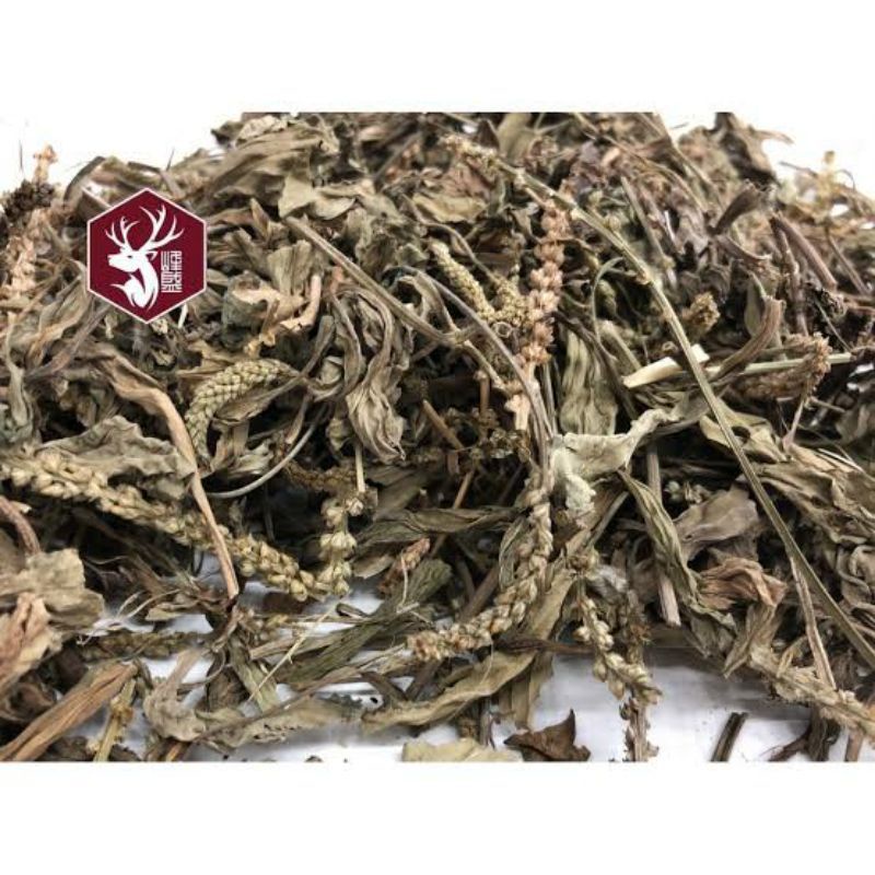 Jual 600 G GR GRAM CHE QIAN CAO HERBA PLANTAGINIS PLAINTAIN HERB