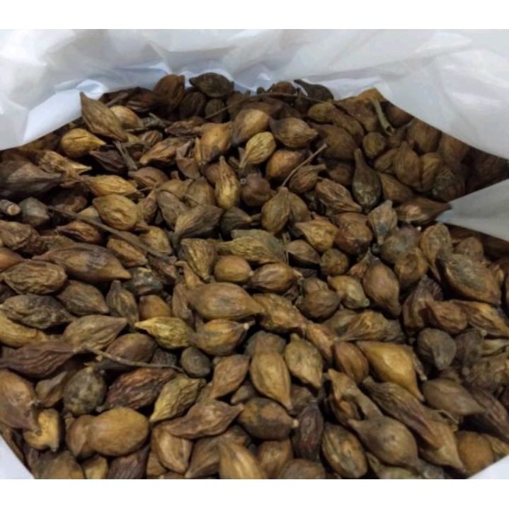 Menebar Benih Sukses: Panduan Lengkap Bisnis Online Jual Biji Tanaman