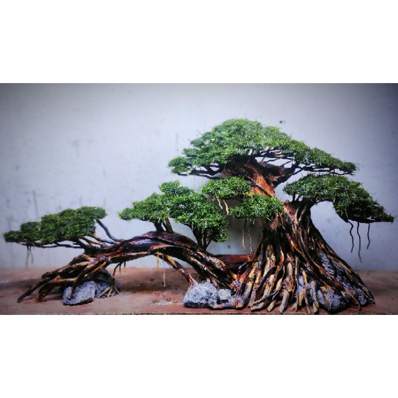 Jual Bonsai Sudh Dengan Tanaman Moss Untuk Tank Cm Keatas Shopee Indonesia