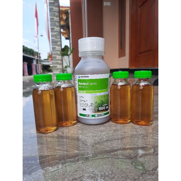 Jual NOVLECT 120 EC Kemasan Ecer 100 Ml Herbisida Sistemik Selektif ...