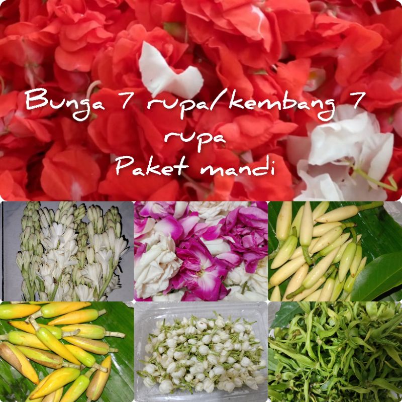 Jual kembang 7 rupa kembang wangi bunga tujuh rupa paket murah | Shopee