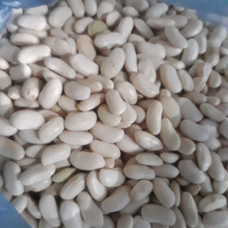 Jual KACANG RANDAH / KACANG RENDANG | Shopee Indonesia