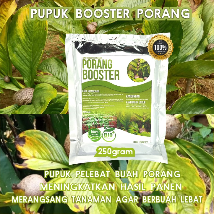 Jual Pupuk Organik Pelebat Booster Porang Perangsang Buah Pupuk Pelebat Buah Porang