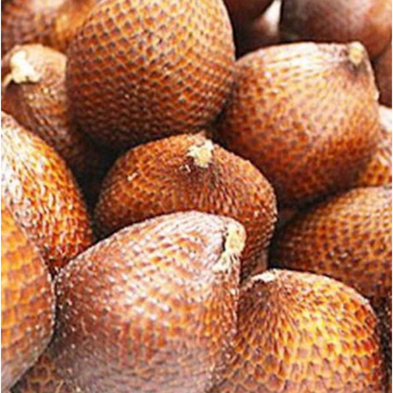 Jual Salak Pondoh Manis Fresh Super Kualitas Pilihan Spesial