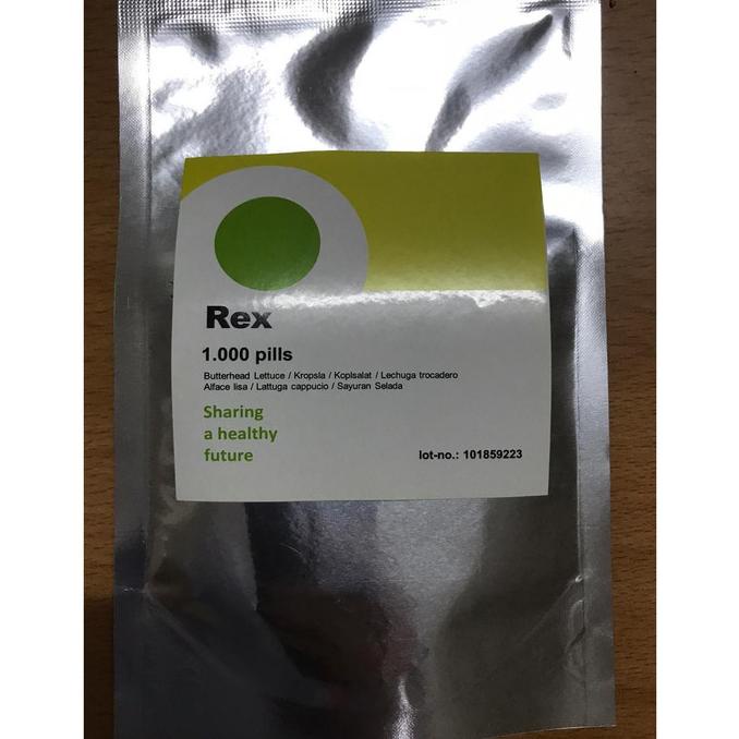 Jual Benih Rex RZ Green Butterhead Lettuce Rex Rijk Zwaan 1000 pills