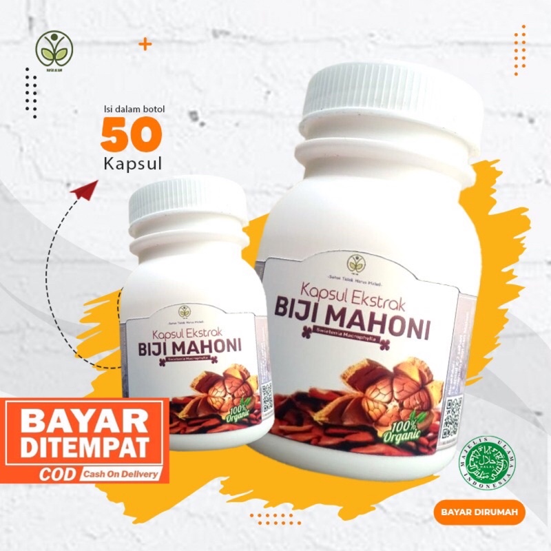 Kapsul Biji Mahoni Kering Obat Herbal Diabetes Hipertensi Kencing Manis Darah Tinggi Diabet Kolesterol Buah Xiang Tian Guo Sky Fruits Praktis Jamu Kesehatan Pria Asli Original Premium Super Murah Murni
