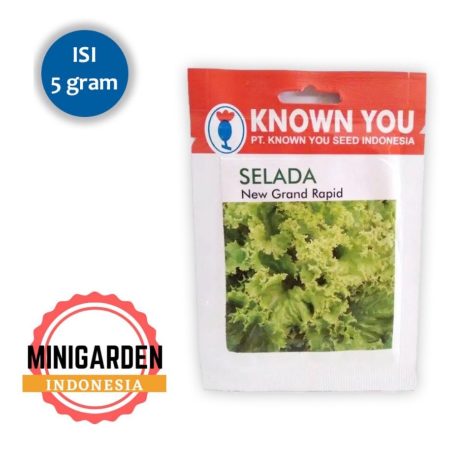 Jual Selada New Grand Rapid 5 Gram Pack Kecil Benih Biji Selada Hijau Keriting Known You Seed