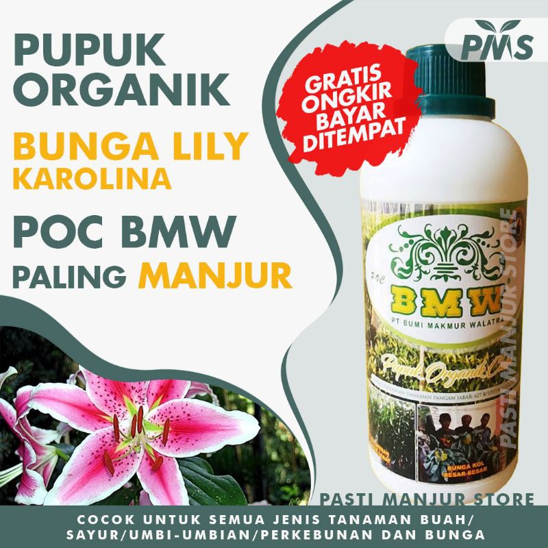 Jual Pupuk Organik Cair Poc Bmw Tanaman Hias Murah Bunga Lily Karolina Lilium Michauxii Shopee